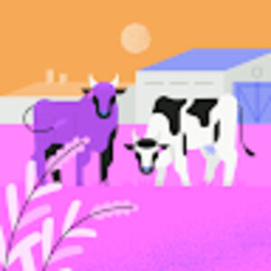 Meet your Posher, Marcella